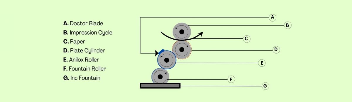 Flexographic Printing: History and How it Works