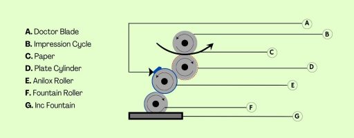 Flexographic Printing press